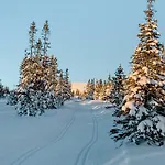 Mountain With Great Views Feriehus