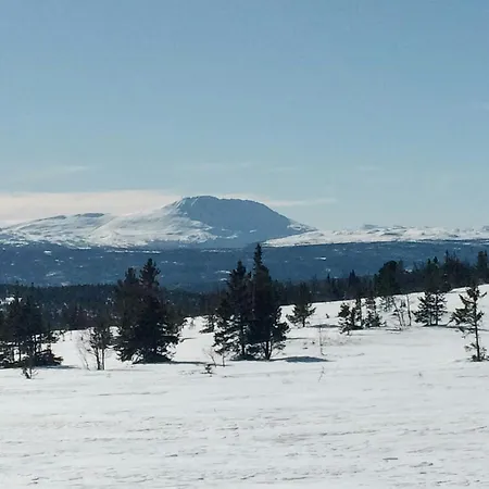 Feriehus Mountain With Great Views