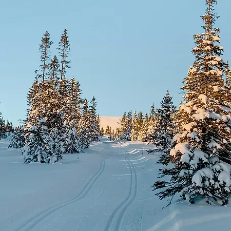 Feriehus Mountain With Great Views