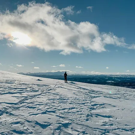 Mountain Cabin With Great Views Semesterbostad Austbygdi