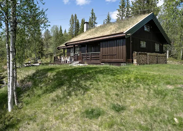 Mountain Cabin With Great Views Semesterbostad Austbygdi