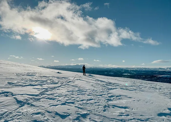 Mountain Cabin With Great Views Semesterbostad Austbygdi