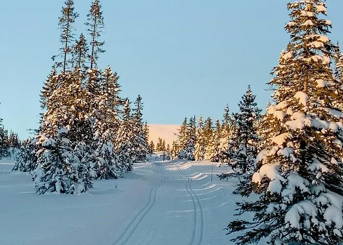 Mountain Cabin With Great Views Semesterbostad