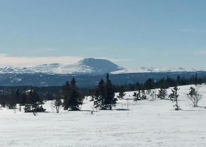 Mountain With Great Views Hébergement de vacances